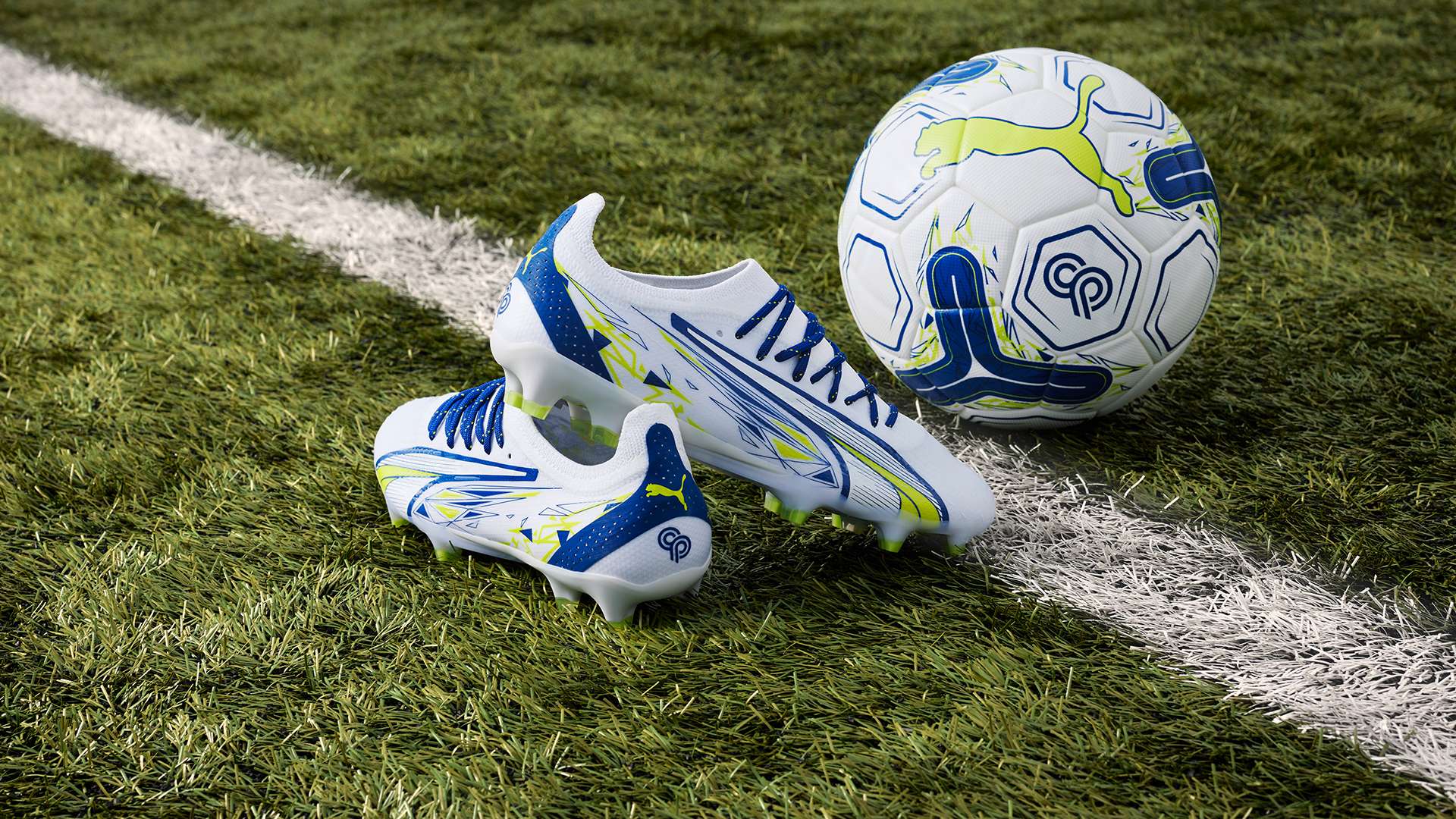 作为浙江队 作为浙江队